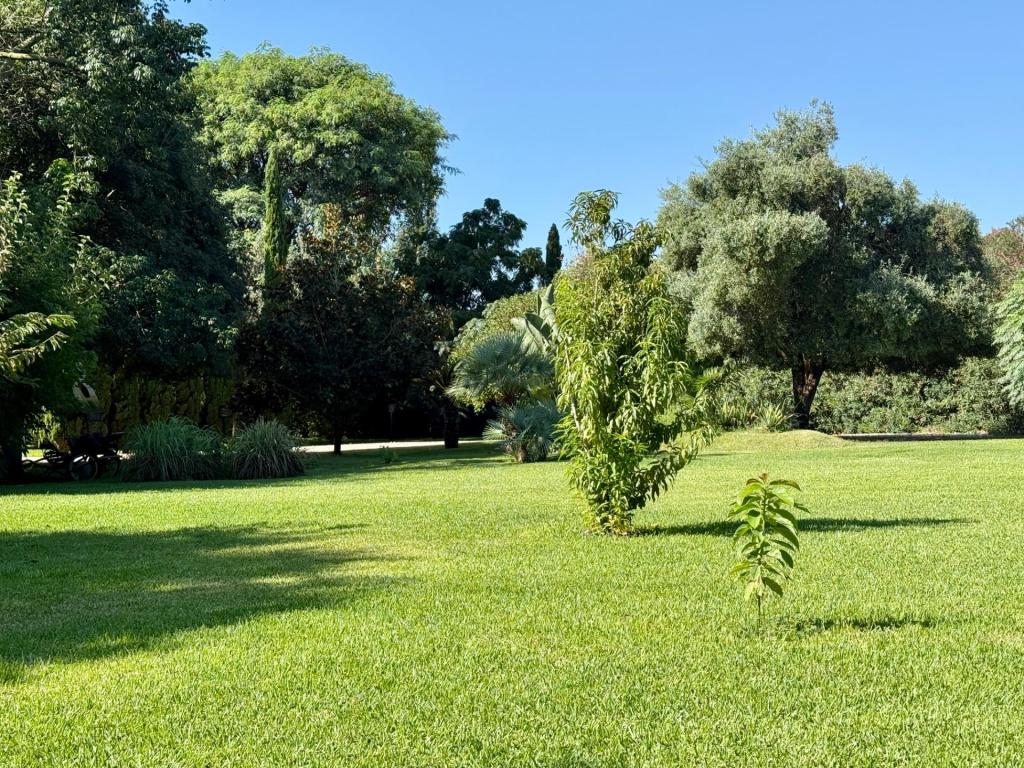 5 bed villas in Denia