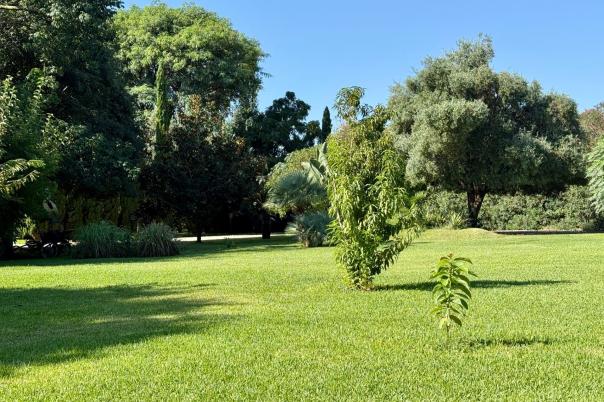 5 bed villas in Denia