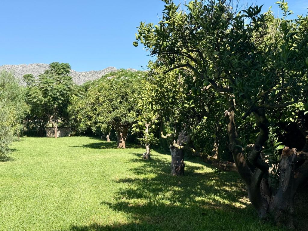 5 bed villas in Denia