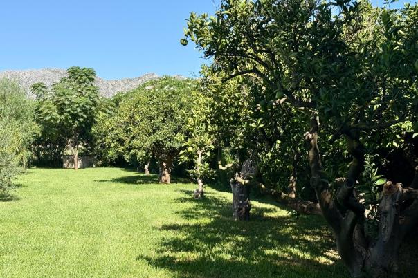 5 bed villas in Denia