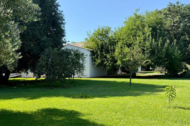 5 bed villas in Denia