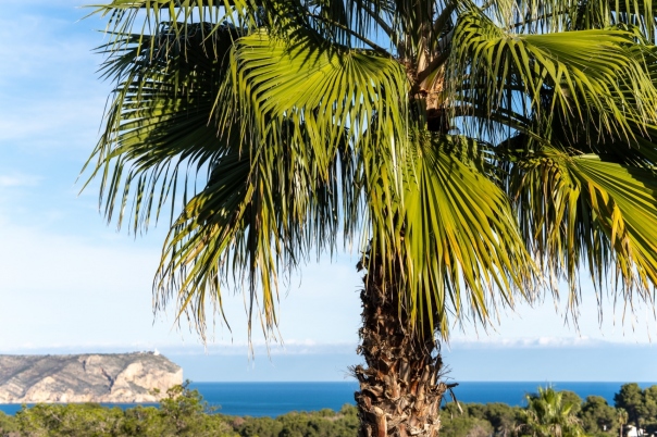 5 bed villa in Javea