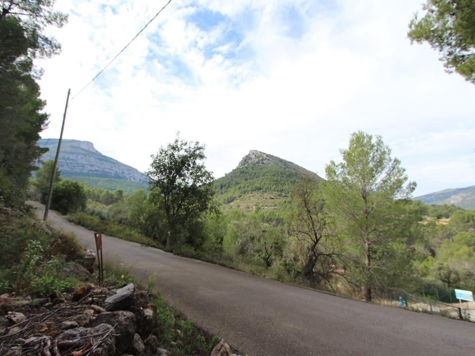 plot in Benigembla