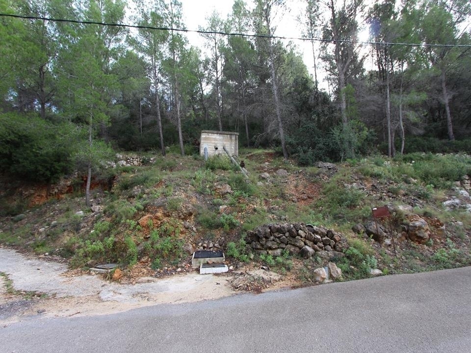 plot in Benigembla