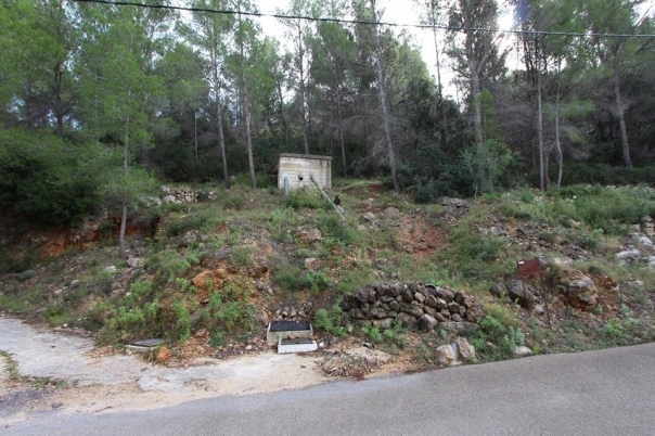 plot in Benigembla