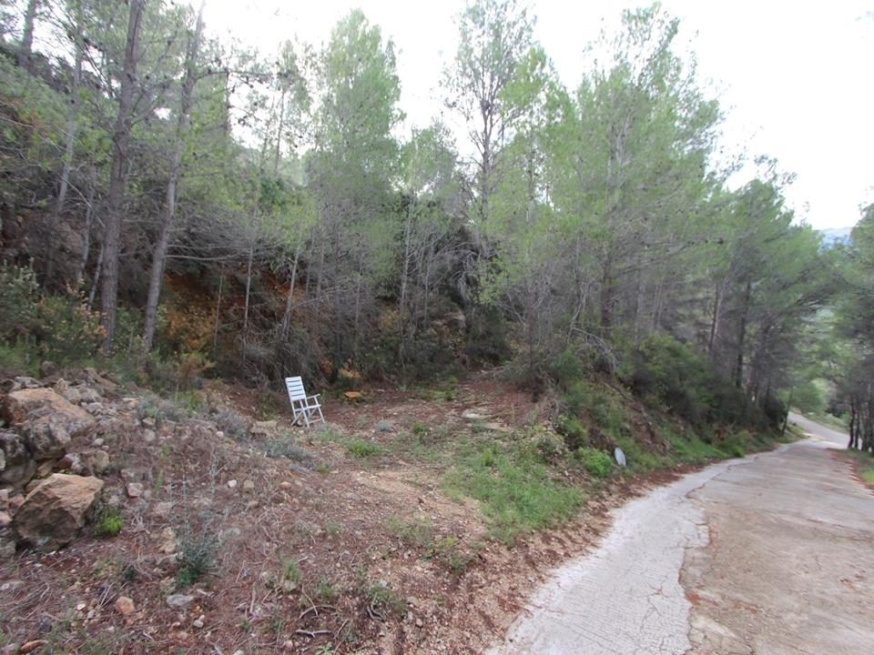 plot in Benigembla