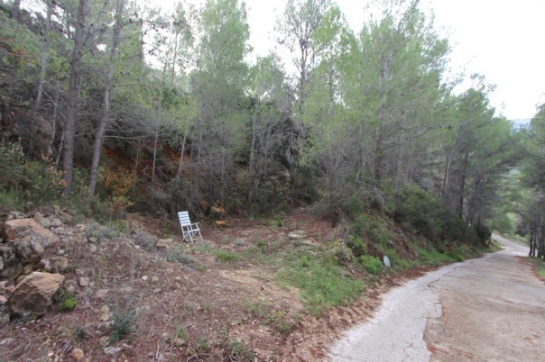 plot in Benigembla