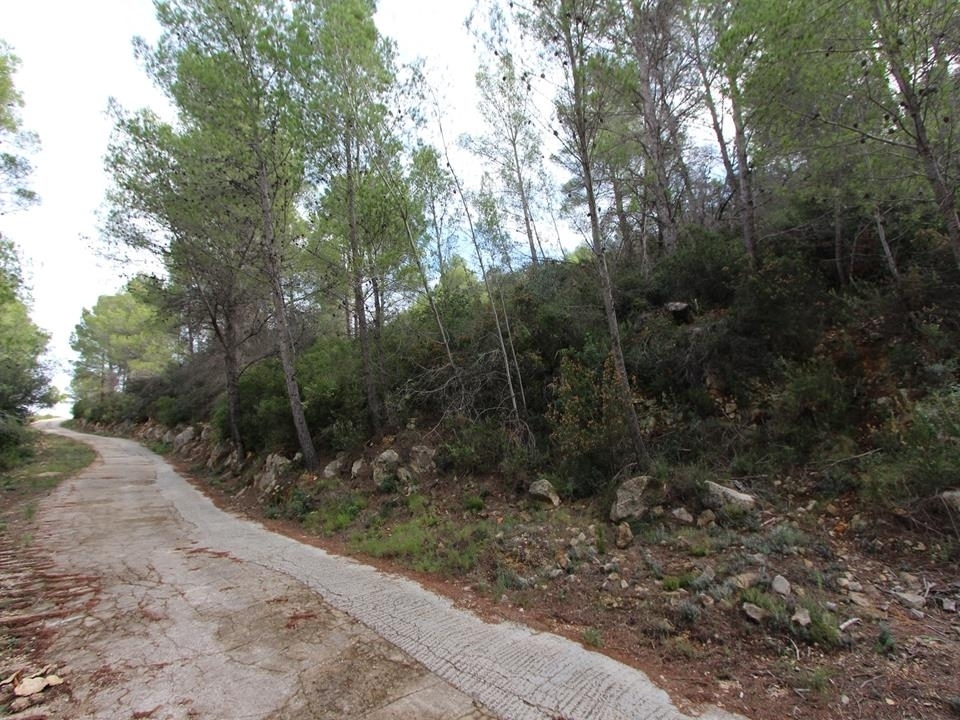 plot in Benigembla