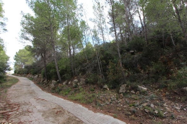 plot in Benigembla