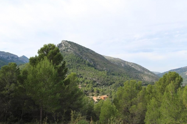 plot in Benigembla
