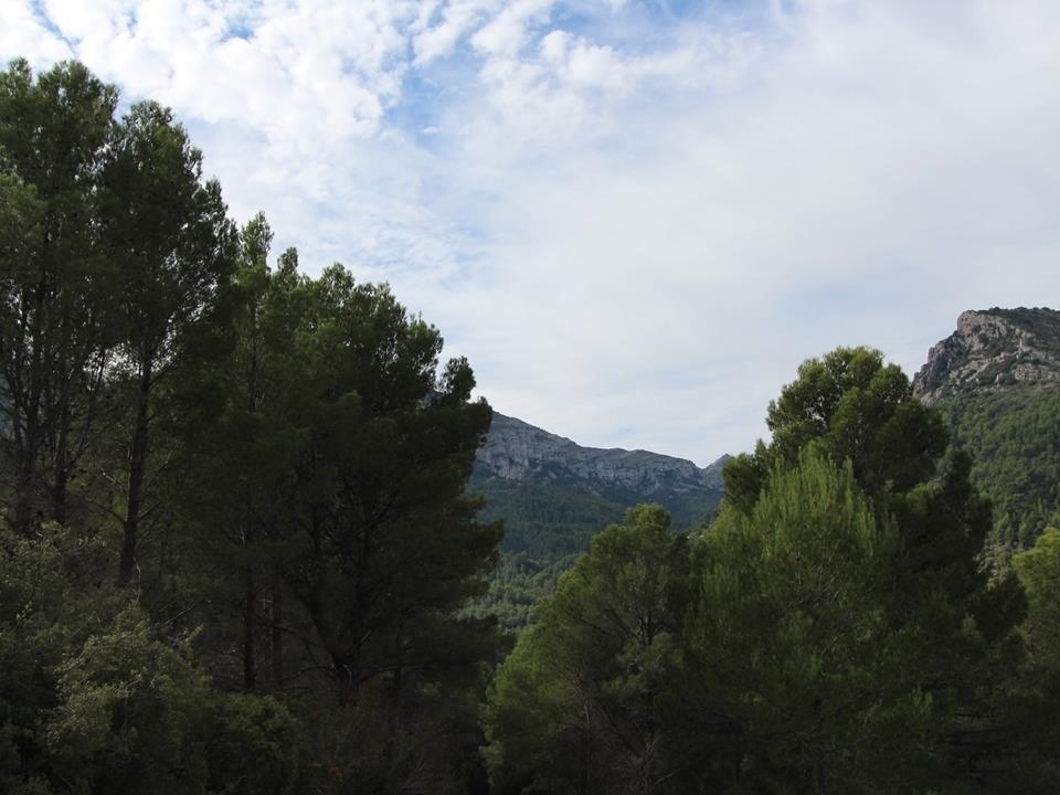 plot in Benigembla