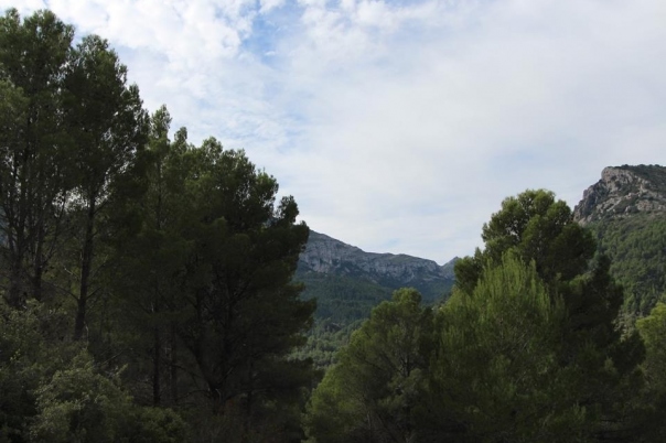 plot in Benigembla