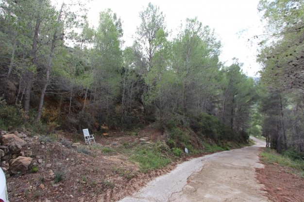 plot in Benigembla