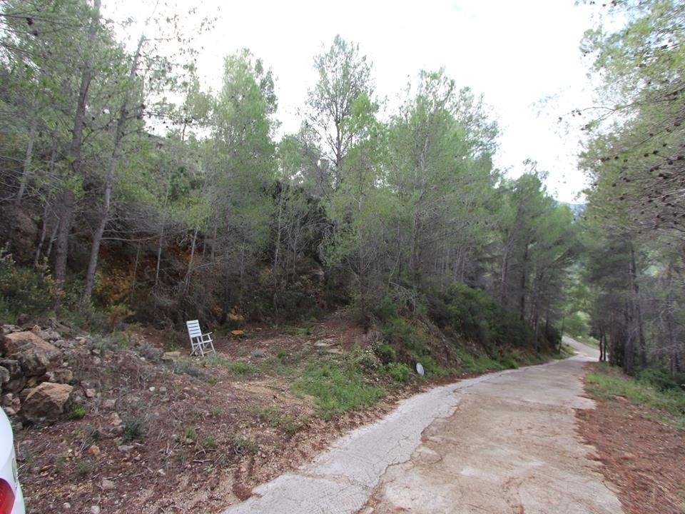 plot in Benigembla