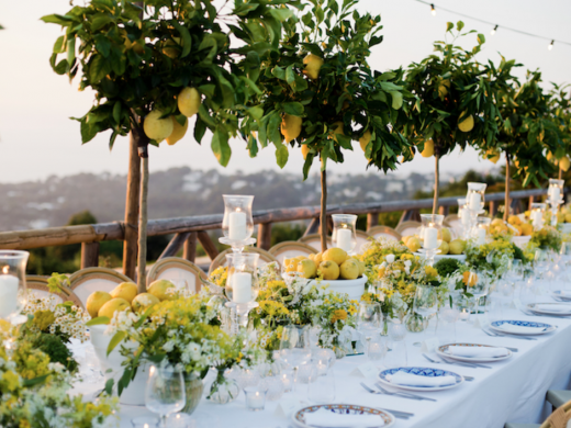 Vegan Weddings on the Costa Blanca