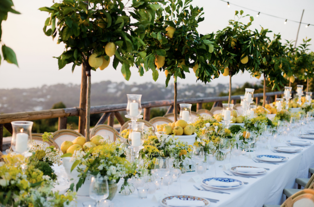 Vegan Weddings on the Costa Blanca