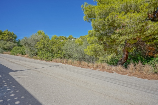 plot in Benissa