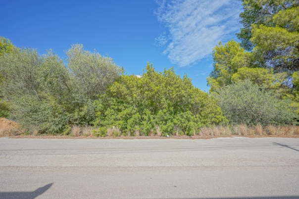 plot in Benissa