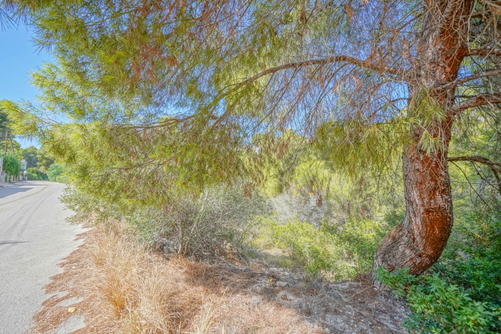 plot in Benissa