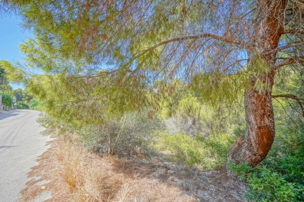 plot in Benissa