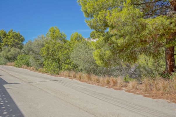 plot in Benissa