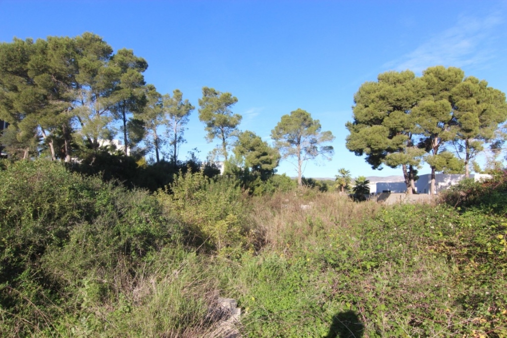 plot in Moraira