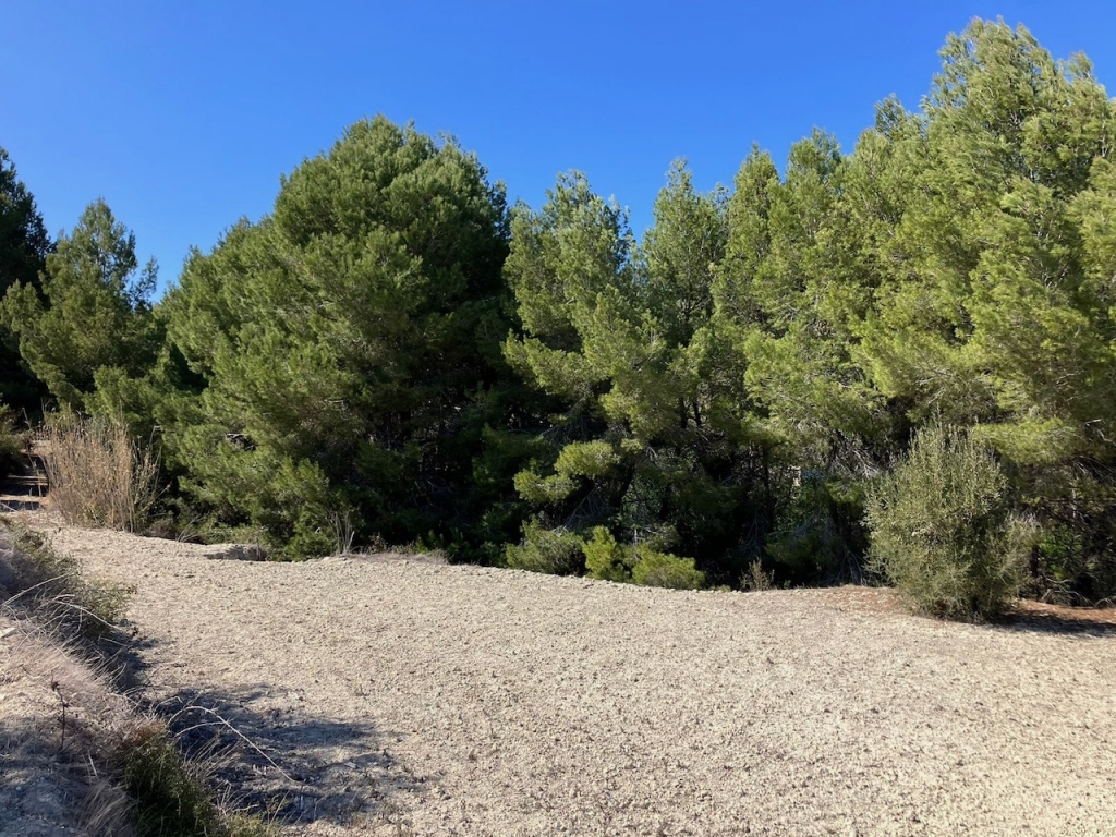 plots of land in Benissa