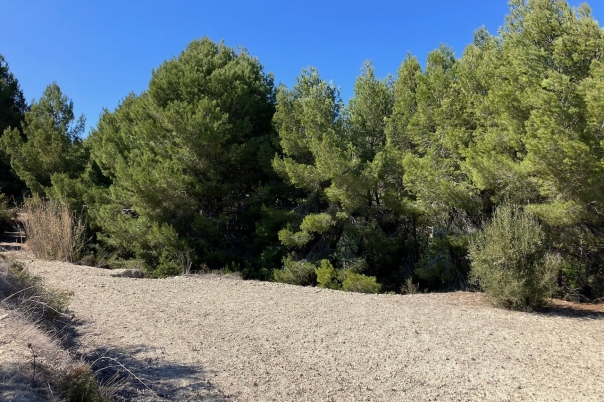 plots of land in Benissa