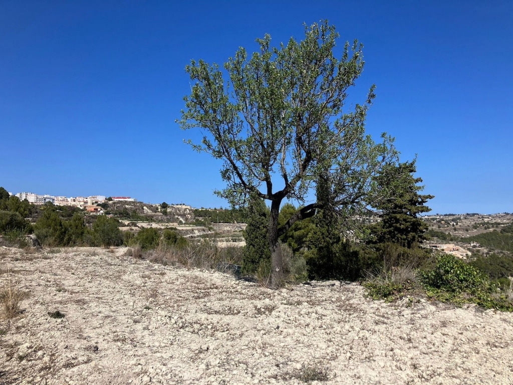 plots of land in Benissa