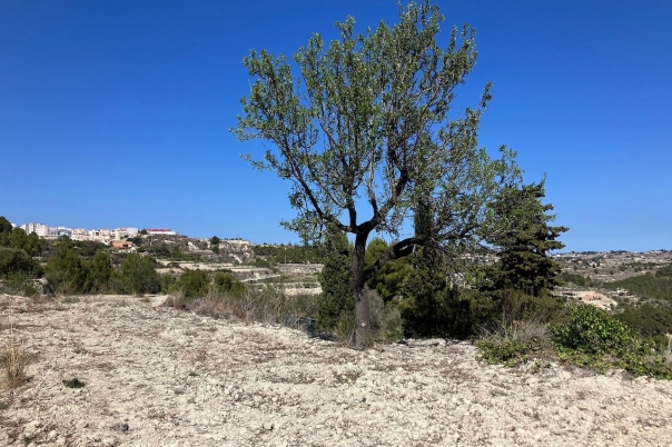 plots of land in Benissa
