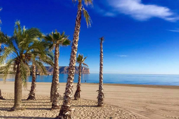 Playa Del Arenal Javea