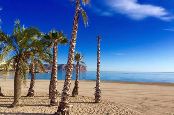 Playa Del Arenal Javea