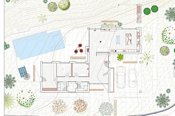 plot in Altea