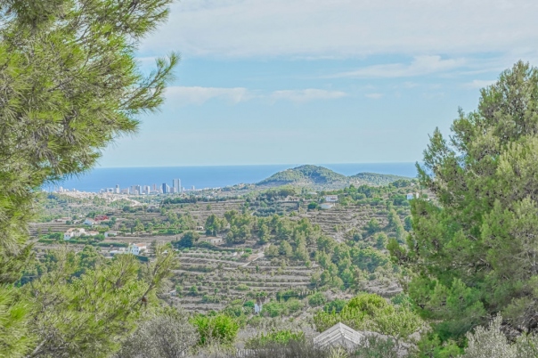 plot in Benissa