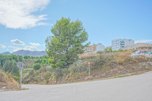 plot in Benissa