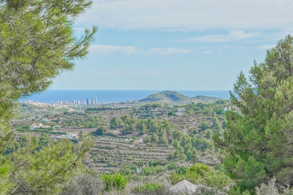 plot in Benissa