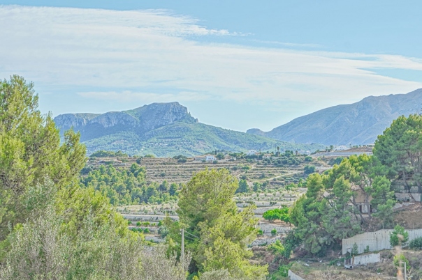 plot in Benissa