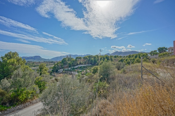 plot in Benissa