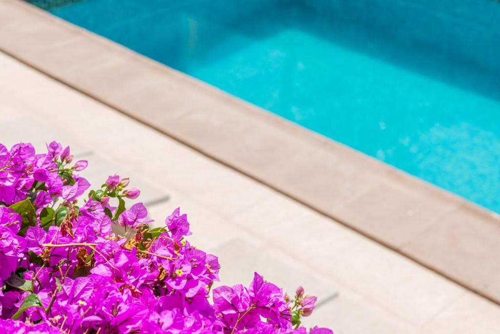 7 bed villas in Moraira