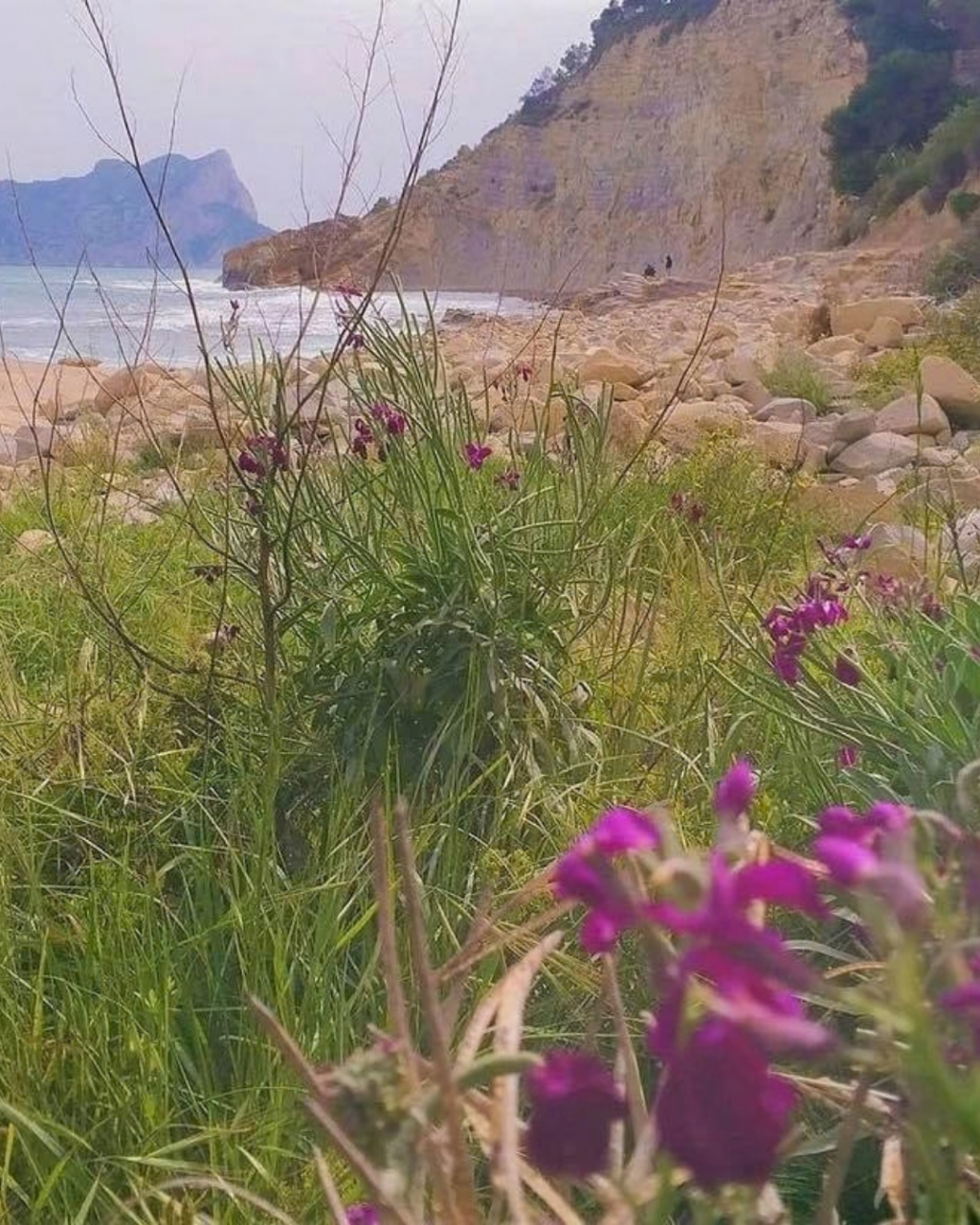 Which Moraira Beach Should You Visit? Beaches and Coves Compared