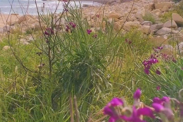Which Moraira Beach Should You Visit? Beaches and Coves Compared