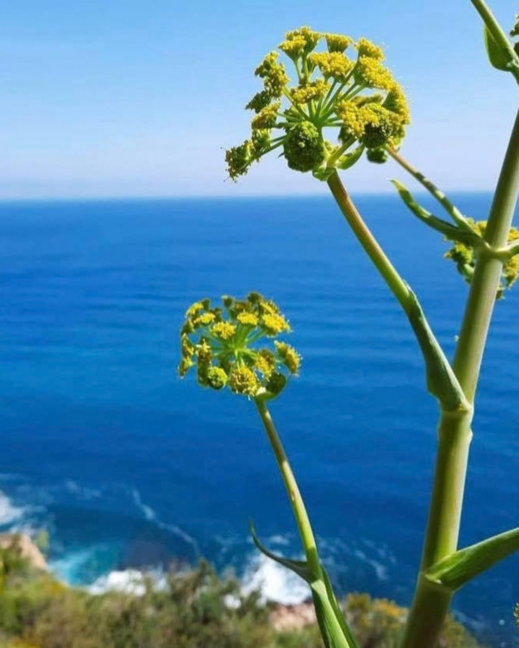 Which Moraira Beach Should You Visit? Beaches and Coves Compared