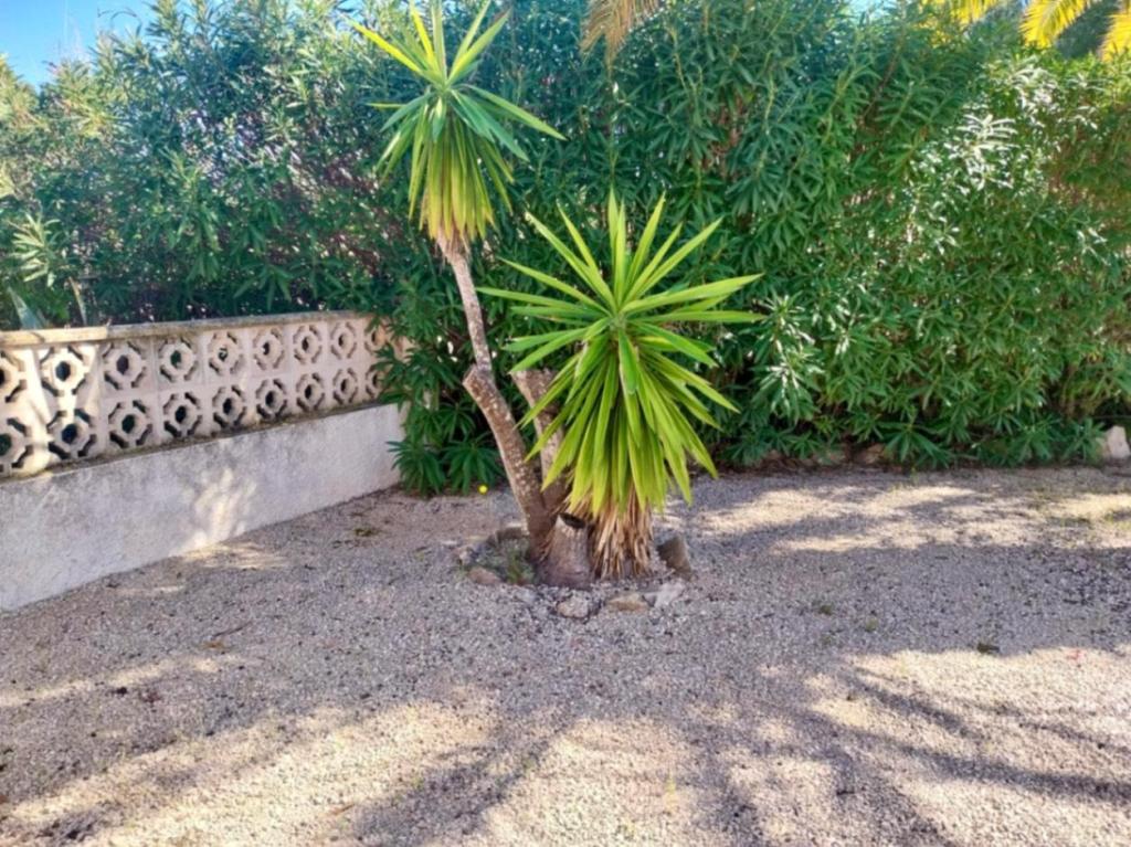 4 bed villa in Jávea