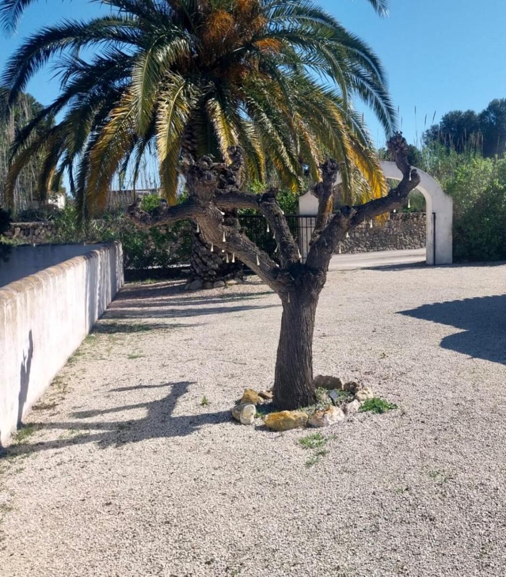 4 bed villa in Jávea