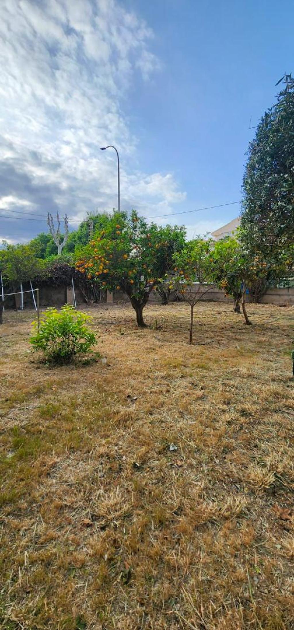 3 bed villa in Albir