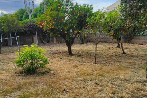 3 bed villa in Albir