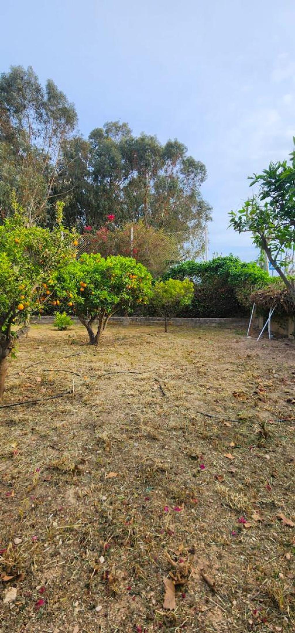3 bed villa in Albir