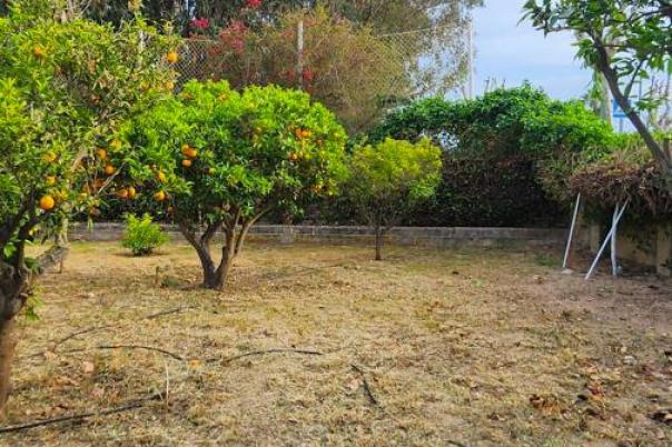 3 bed villa in Albir