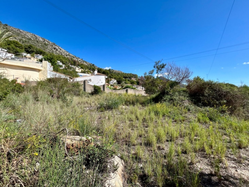 plot in Alcalalí