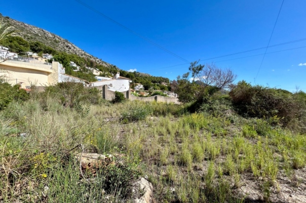 plot in Alcalalí